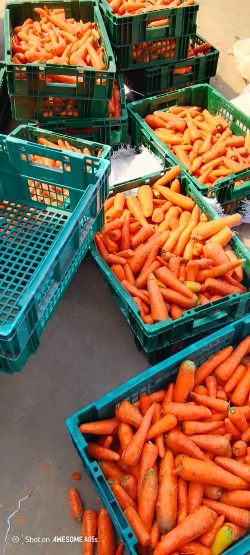 Carrots
