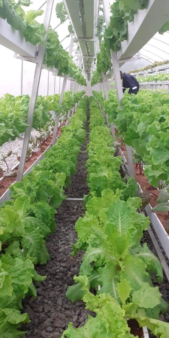 Partnerships Background